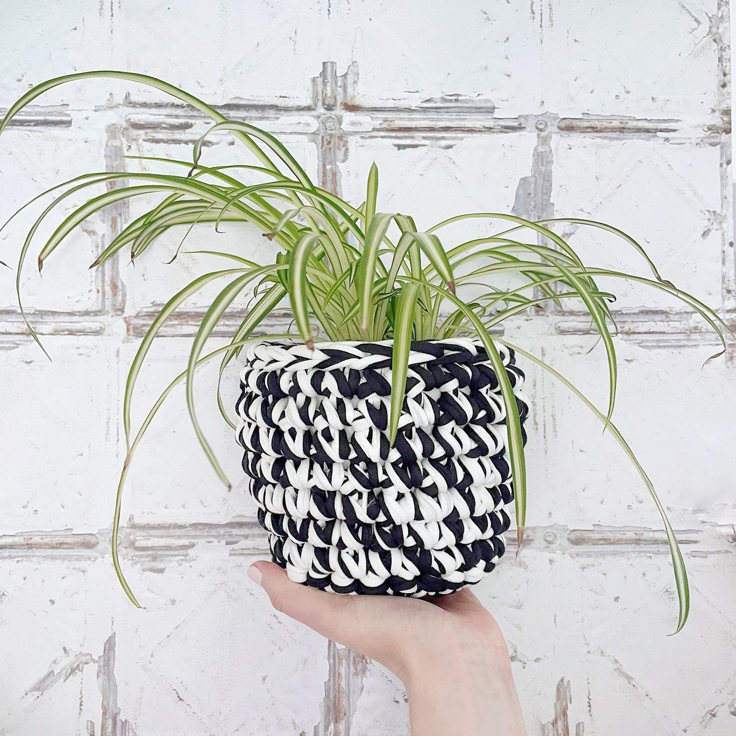 Monochrome Crochet Plant Pot Cover | Tink and Reu