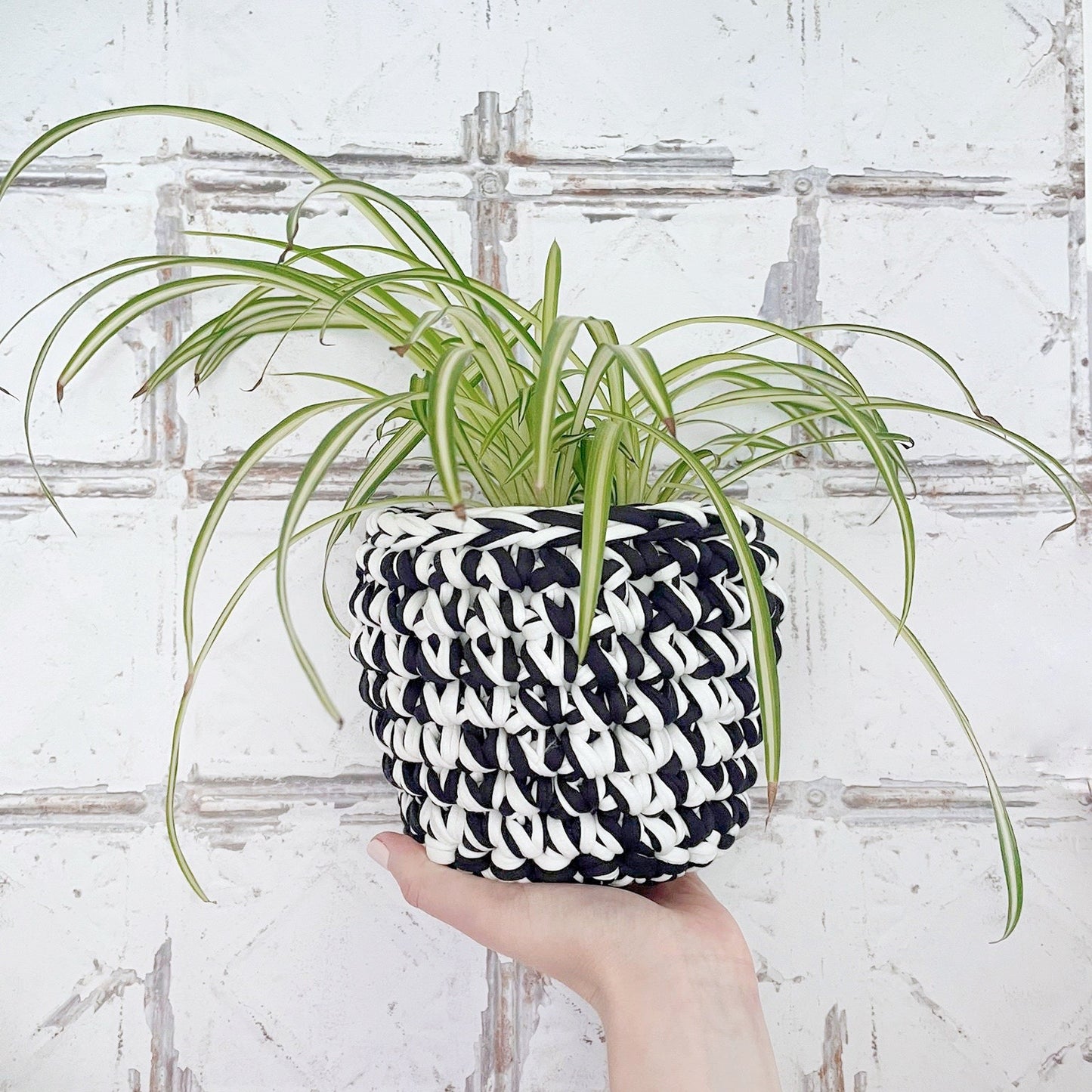 Monochrome Crochet Plant Pot Cover | Tink and Reu