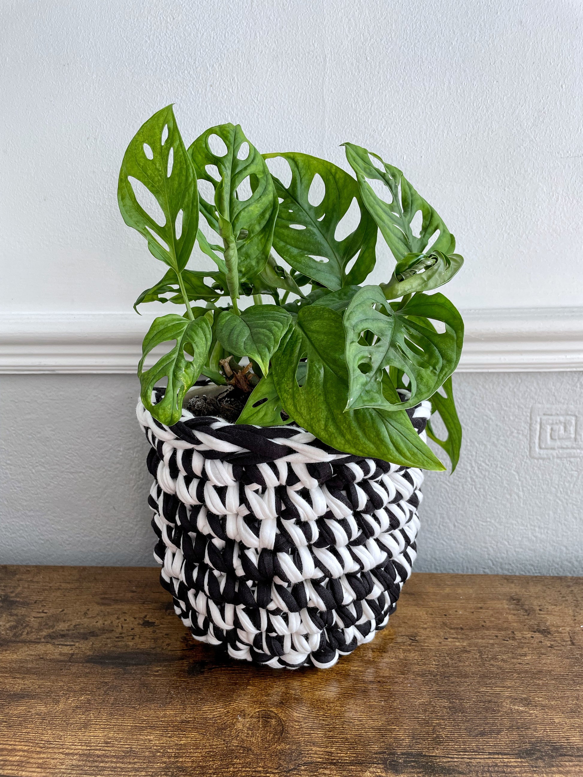 Monochrome Crochet Plant Pot Cover | Tink and Reu